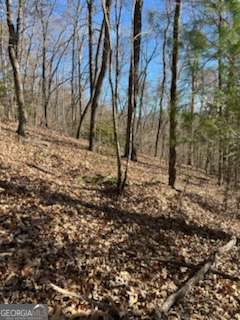 1918 Creekstone Lane Young Harris GA 30582