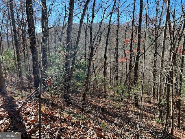 1918 Creekstone Lane Young Harris GA 30582