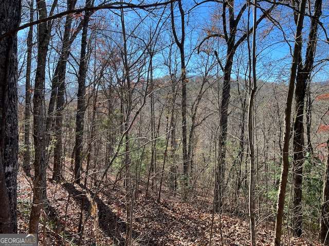 1918 Creekstone Lane Young Harris GA 30582