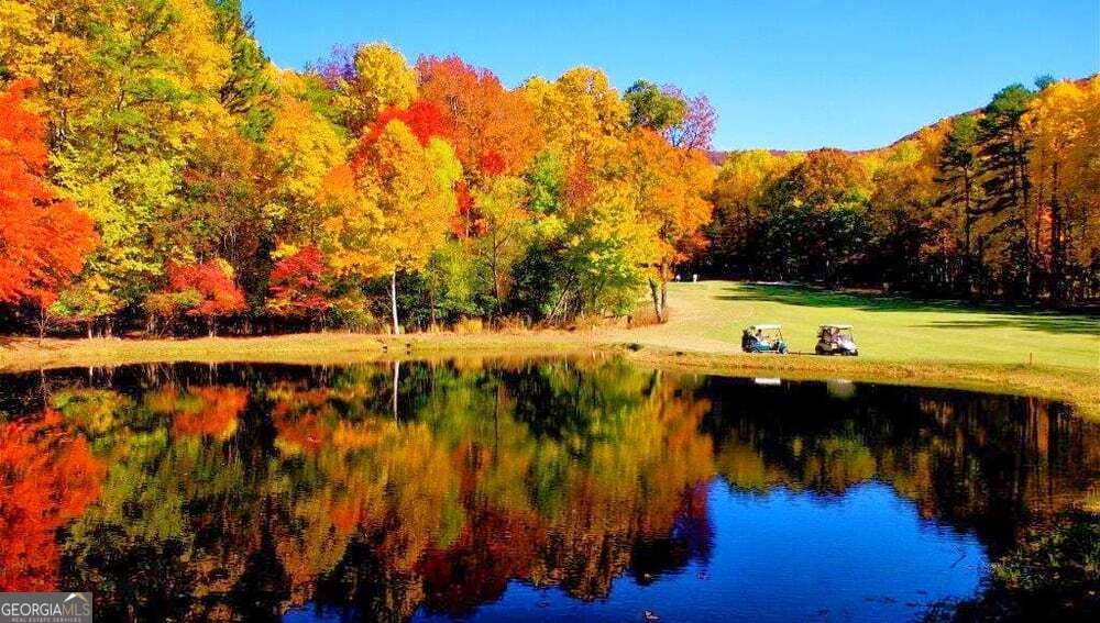 0 Shadowick Mountain Road Jasper GA 30143