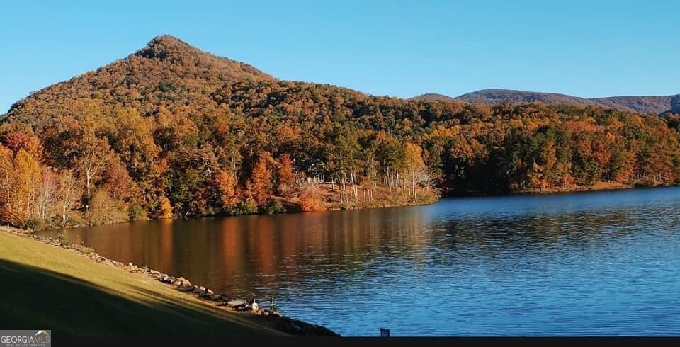 0 Shadowick Mountain Road Jasper GA 30143