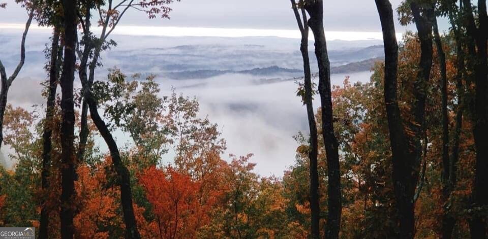 0 Shadowick Mountain Road Jasper GA 30143