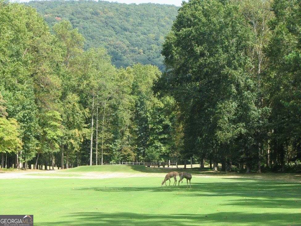0 Shadowick Mountain Road Jasper GA 30143