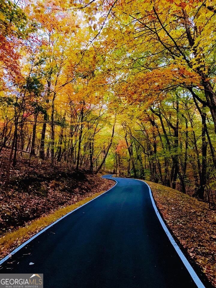 0 Shadowick Mountain Road Jasper GA 30143