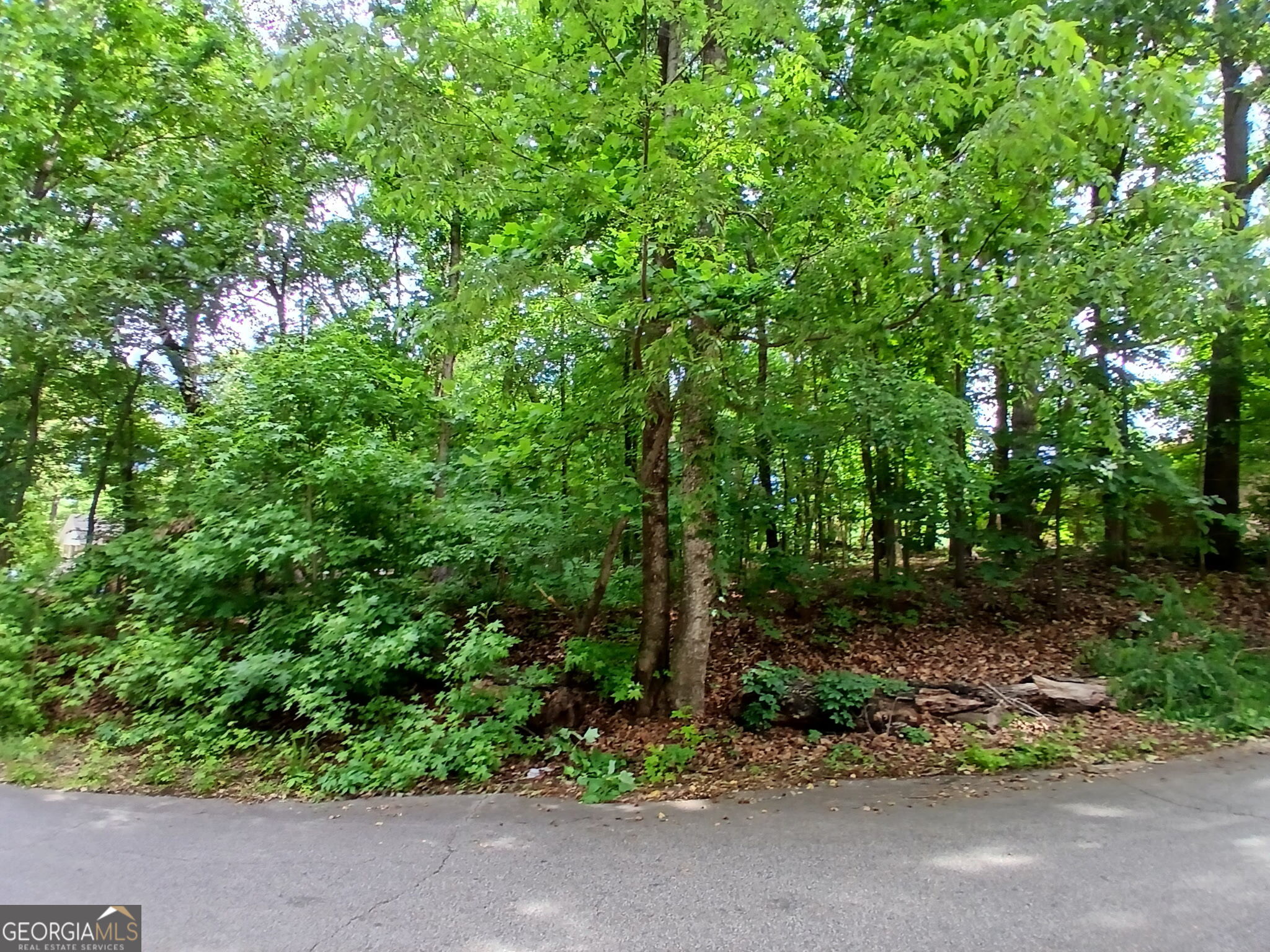 680 Knox Springs Road Austell GA 30168
