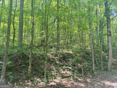 0 Forest Glen Road Sylacauga AL 35151