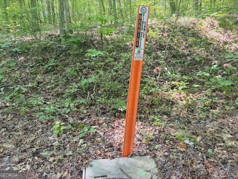 0 Forest Glen Road Sylacauga AL 35151
