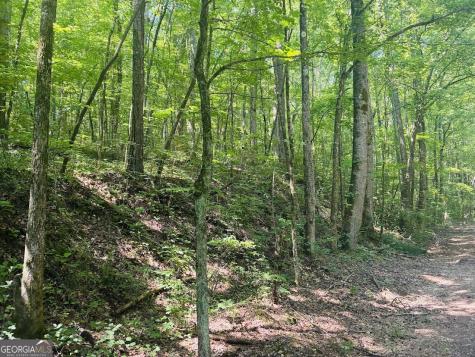 0 Forest Glen Road Sylacauga AL 35151