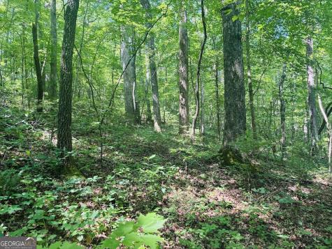0 Forest Glen Road Sylacauga AL 35151
