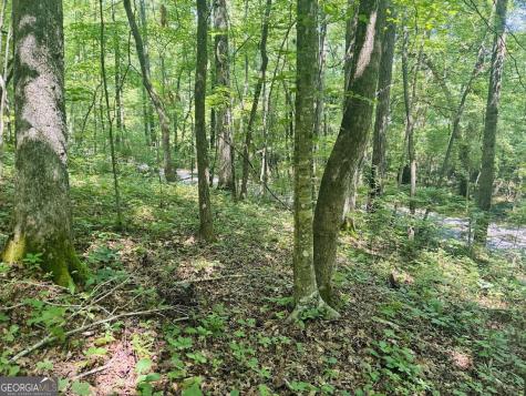 0 Forest Glen Road Sylacauga AL 35151