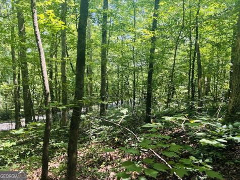 0 Forest Glen Road Sylacauga AL 35151