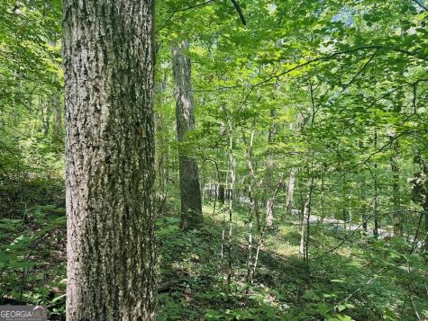 0 Forest Glen Road Sylacauga AL 35151