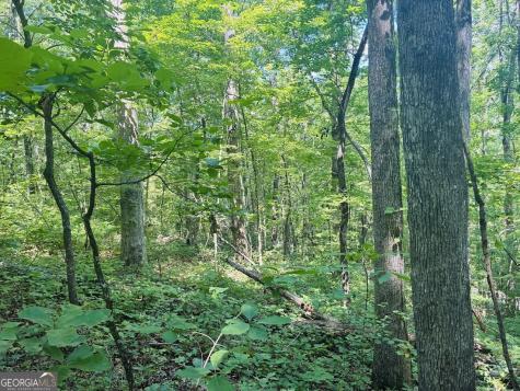 0 Forest Glen Road Sylacauga AL 35151