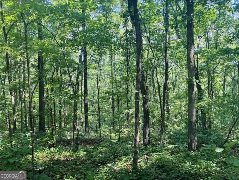 0 Forest Glen Road Sylacauga AL 35151
