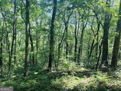 0 Forest Glen Road Sylacauga AL 35151