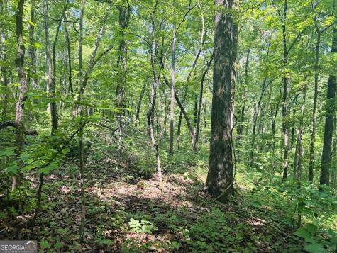 0 Forest Glen Road Sylacauga AL 35151