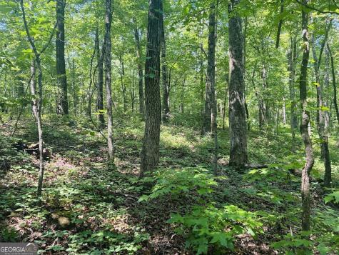 0 Forest Glen Road Sylacauga AL 35151