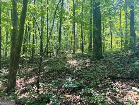 0 Forest Glen Road Sylacauga AL 35151