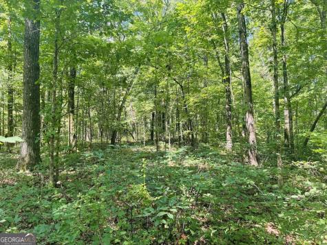 0 Forest Glen Road Sylacauga AL 35151
