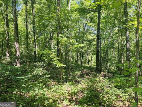 0 Forest Glen Road Sylacauga AL 35151