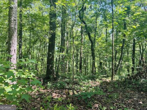 0 Forest Glen Road Sylacauga AL 35151