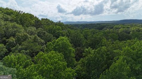 0 Forest Glen Road Sylacauga AL 35151