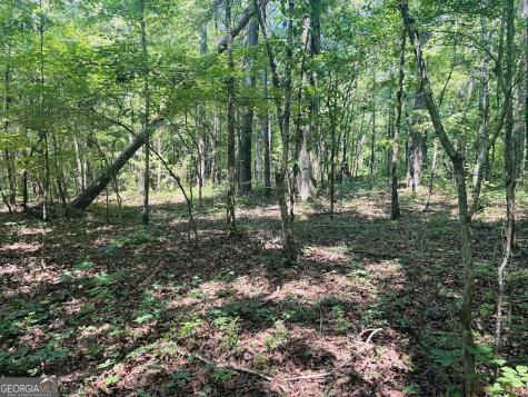 0 Forest Glen Road Sylacauga AL 35151
