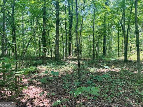 0 Forest Glen Road Sylacauga AL 35151