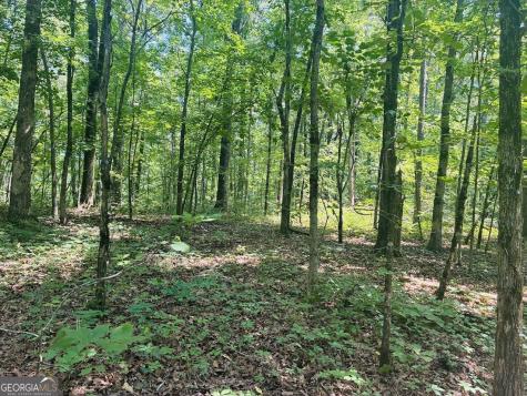 0 Forest Glen Road Sylacauga AL 35151