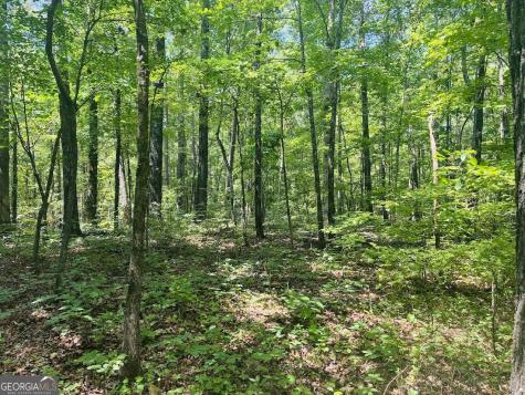 0 Forest Glen Road Sylacauga AL 35151