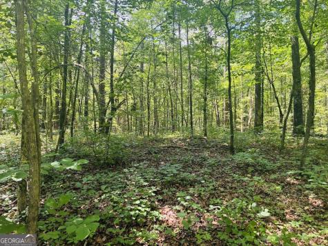 0 Forest Glen Road Sylacauga AL 35151