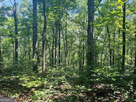 0 Forest Glen Road Sylacauga AL 35151