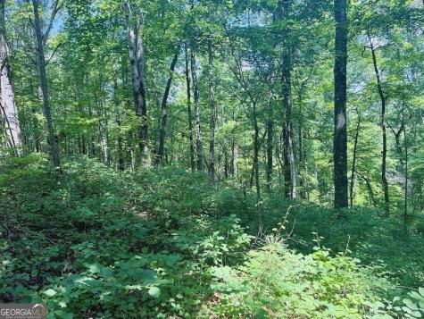 0 Forest Glen Road Sylacauga AL 35151