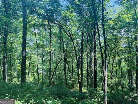 0 Forest Glen Road Sylacauga AL 35151