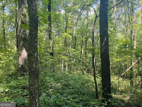 0 Forest Glen Road Sylacauga AL 35151