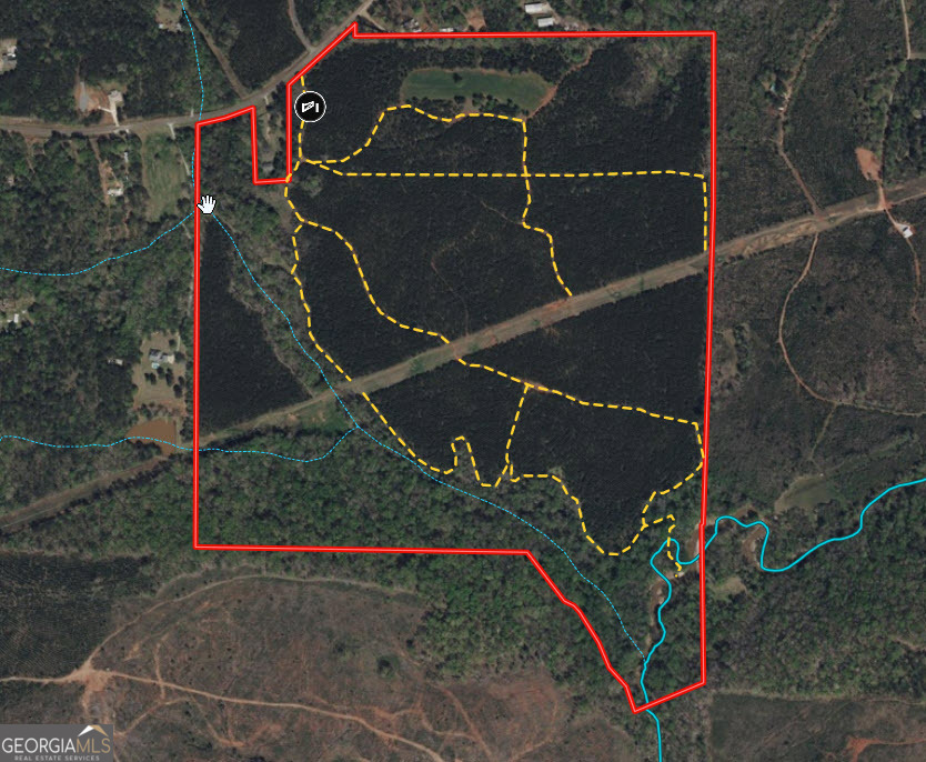 180.14 Ac Johnson Mill Road Hamilton GA 31811