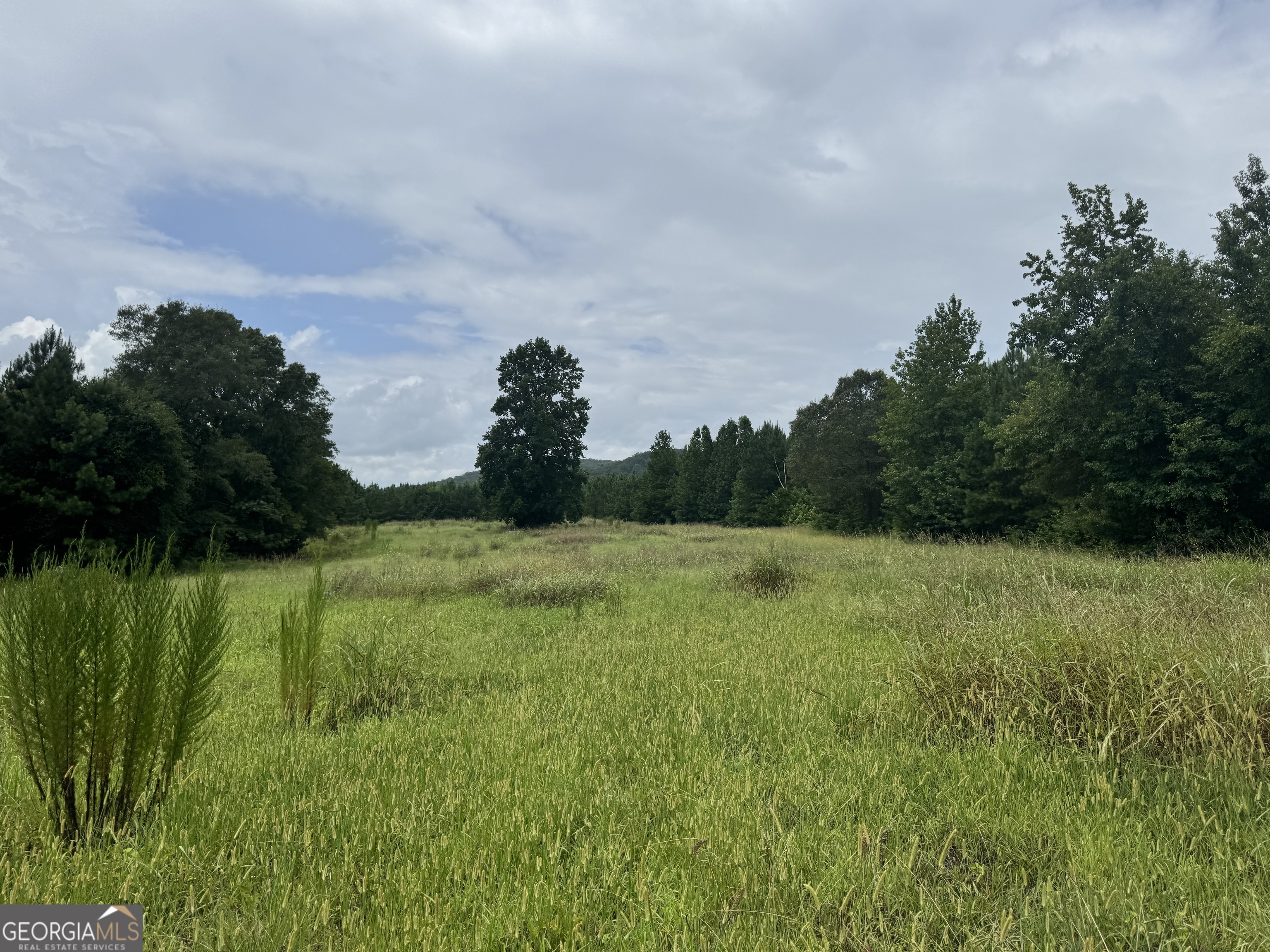 180.14 Ac Johnson Mill Road Hamilton GA 31811