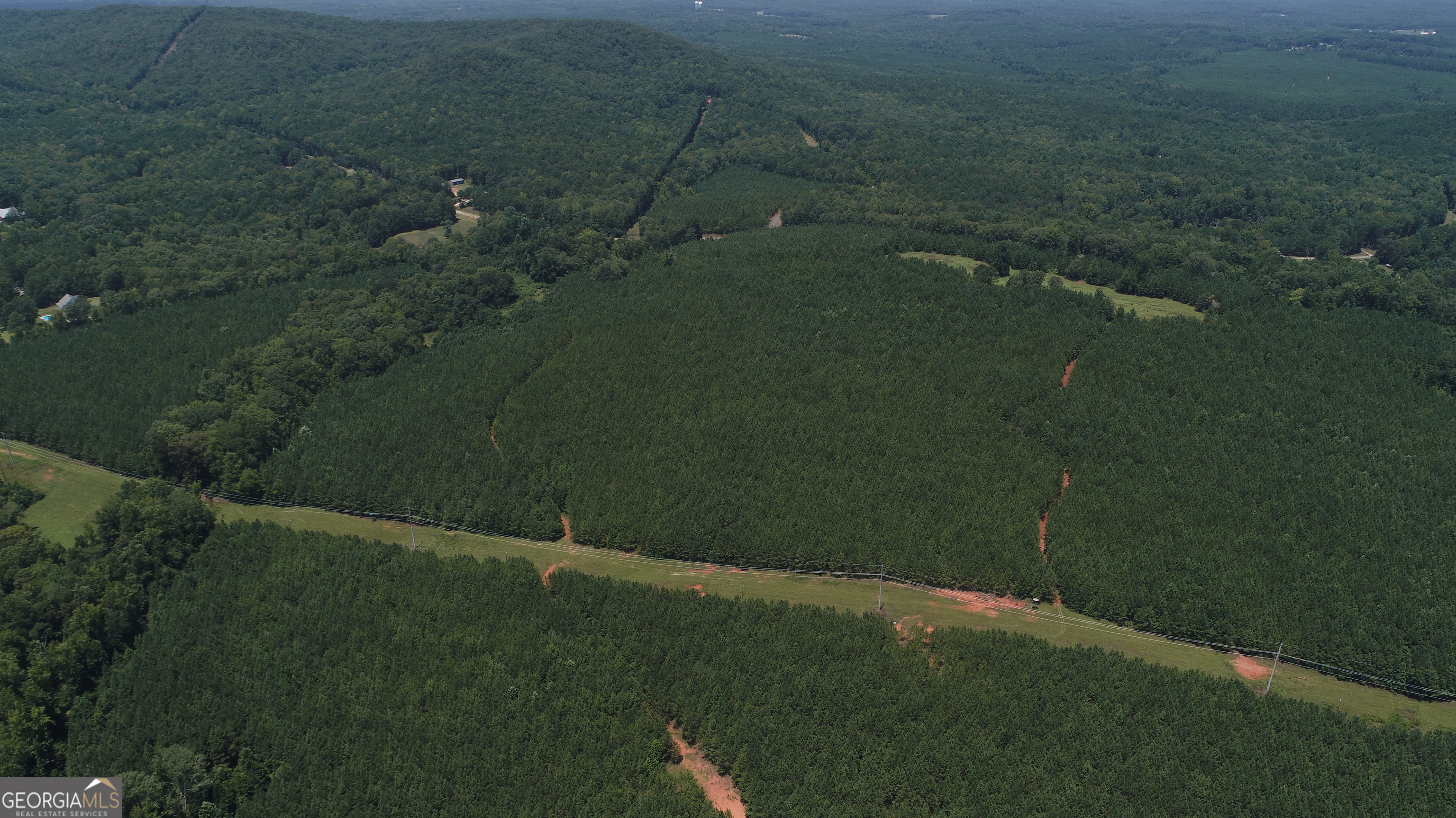 180.14 Ac Johnson Mill Road Hamilton GA 31811