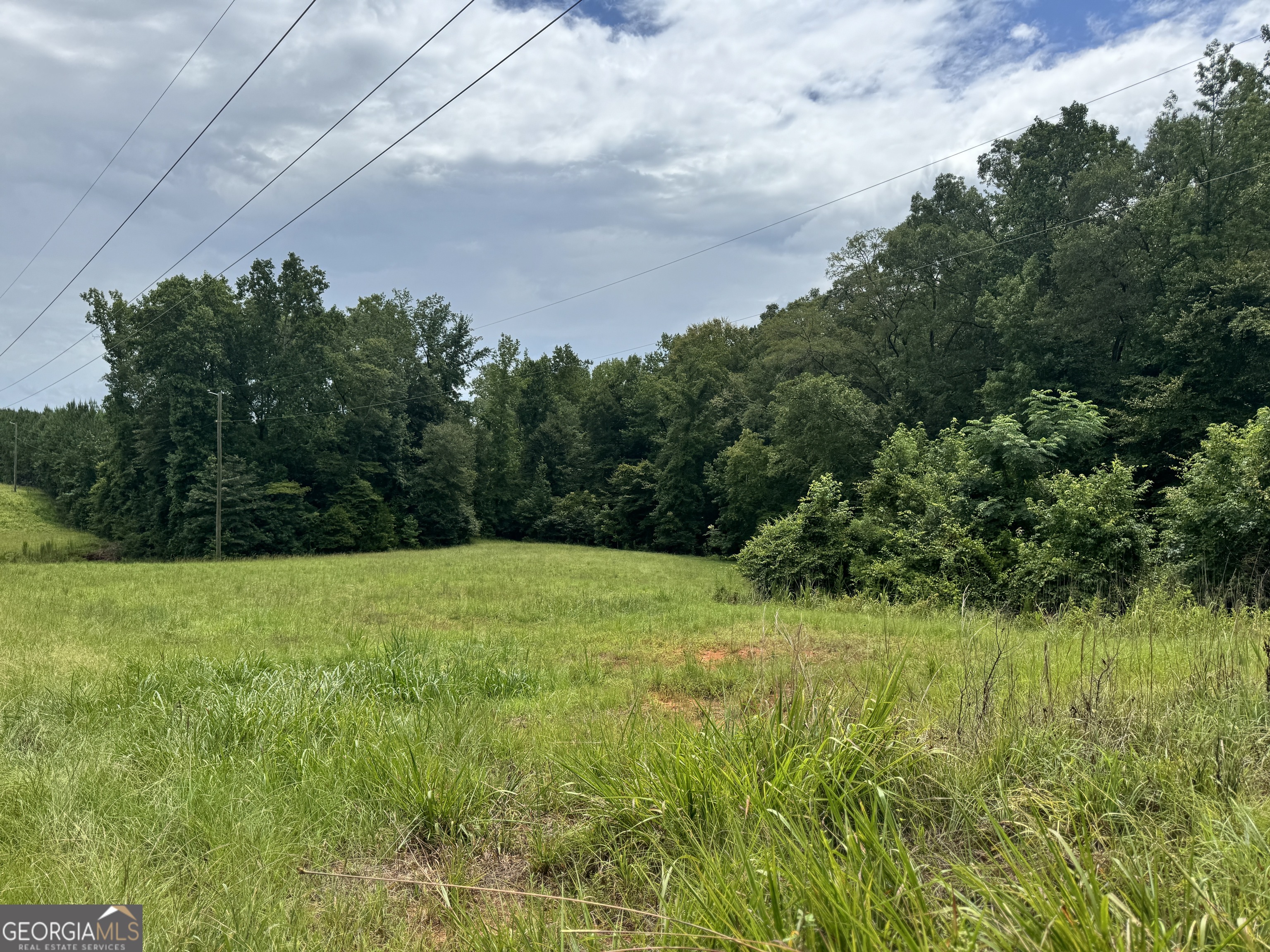 180.14 Ac Johnson Mill Road Hamilton GA 31811
