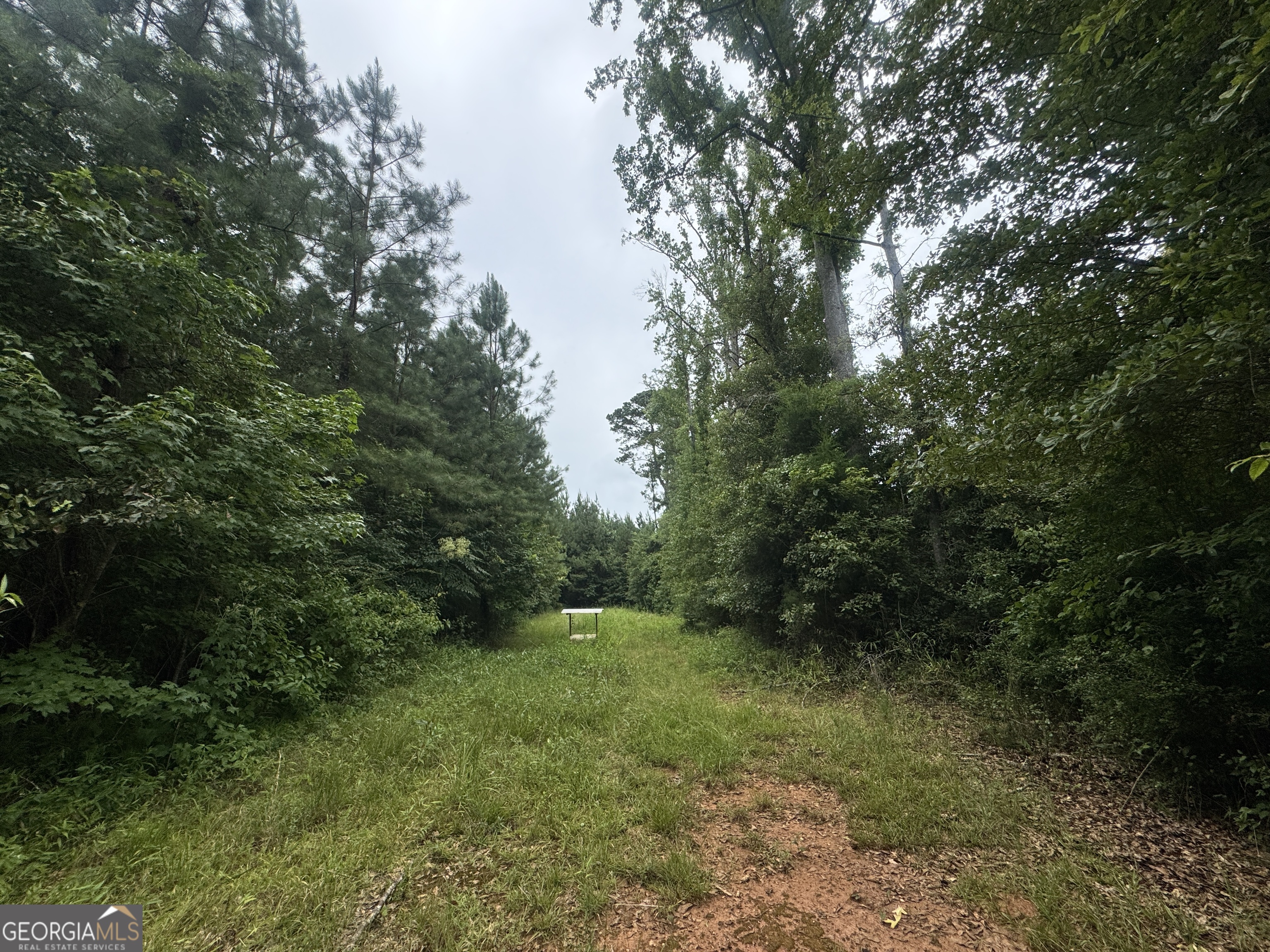 180.14 Ac Johnson Mill Road Hamilton GA 31811