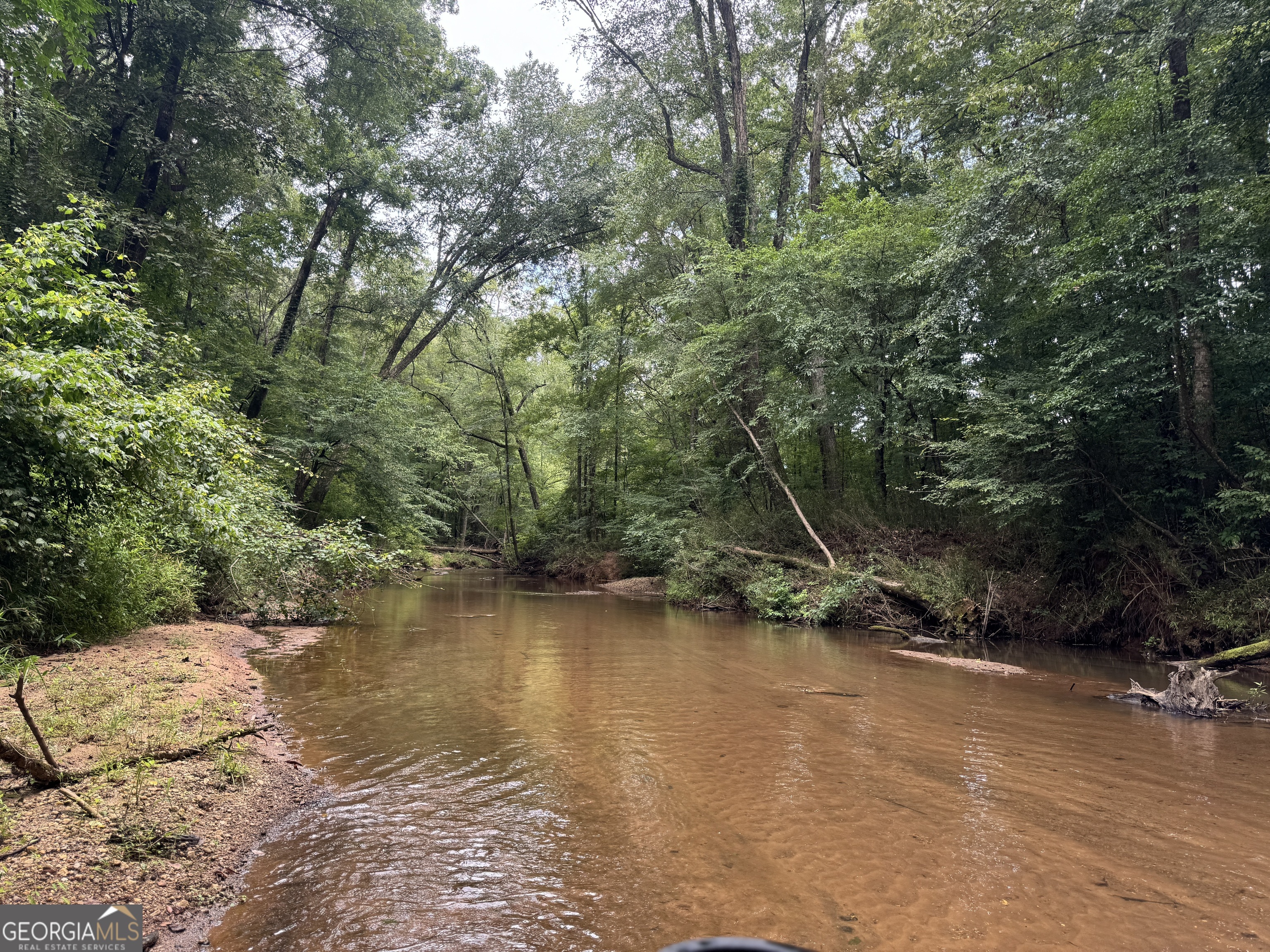 180.14 Ac Johnson Mill Road Hamilton GA 31811