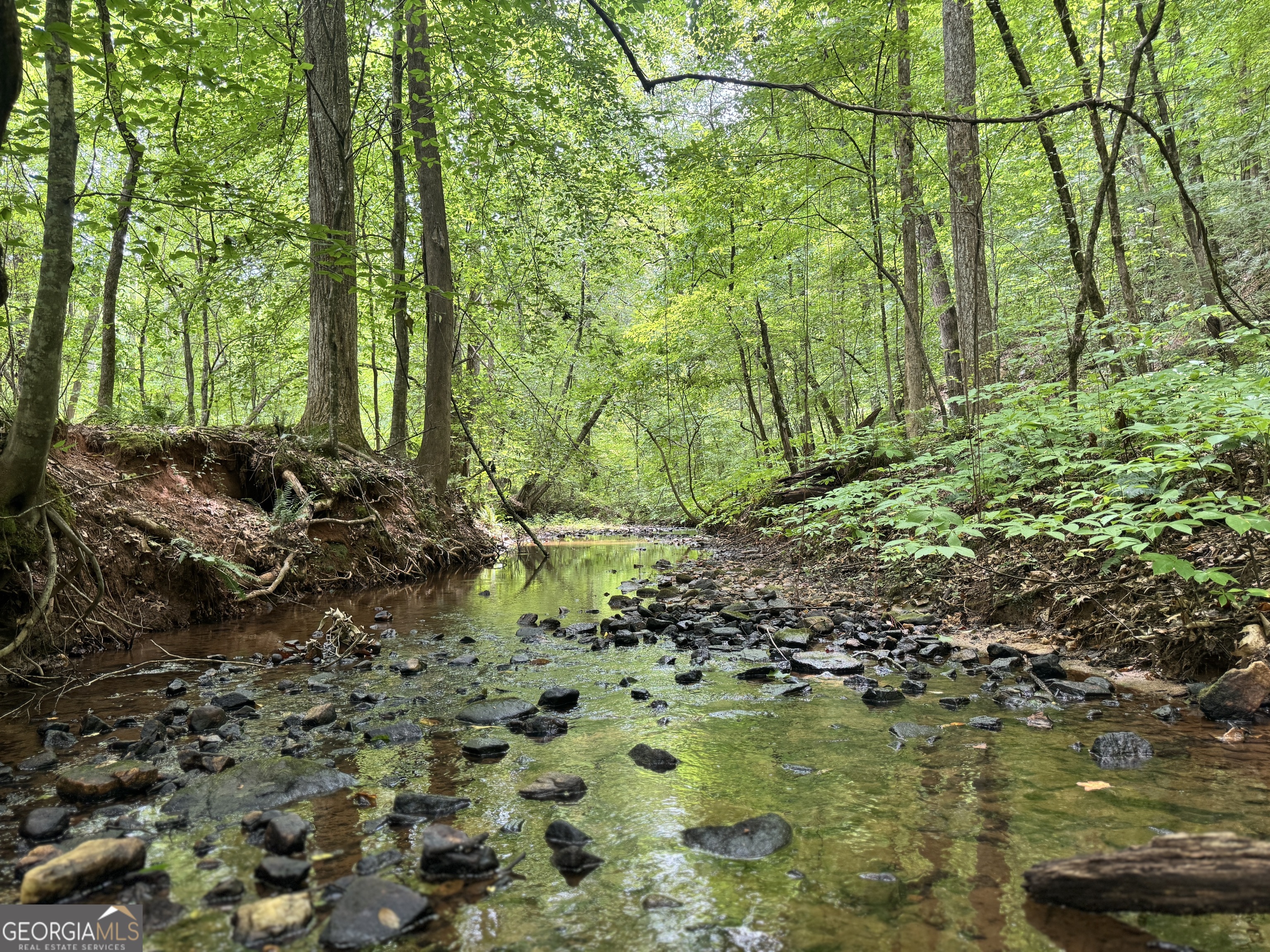 180.14 Ac Johnson Mill Road Hamilton GA 31811
