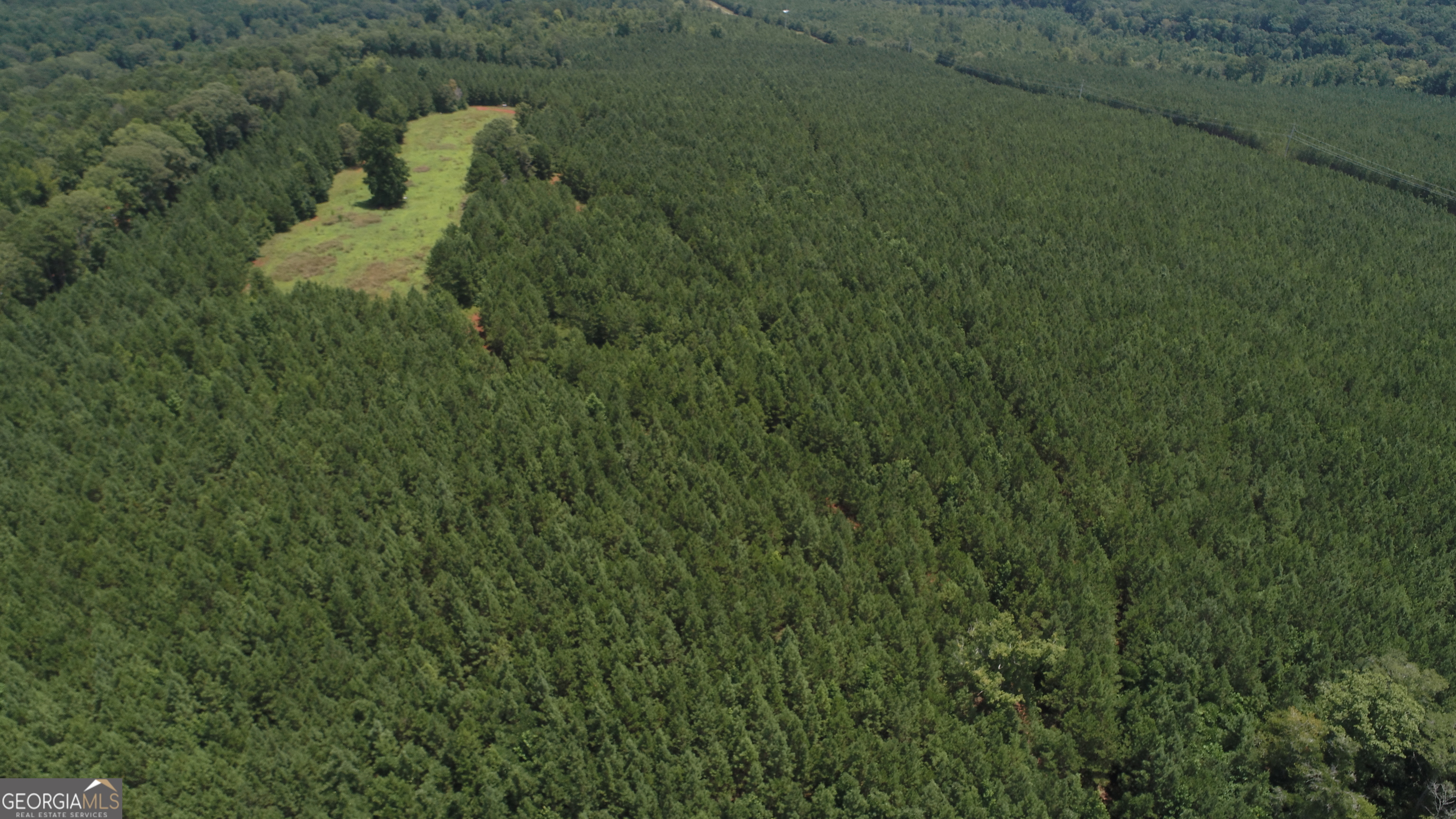 180.14 Ac Johnson Mill Road Hamilton GA 31811