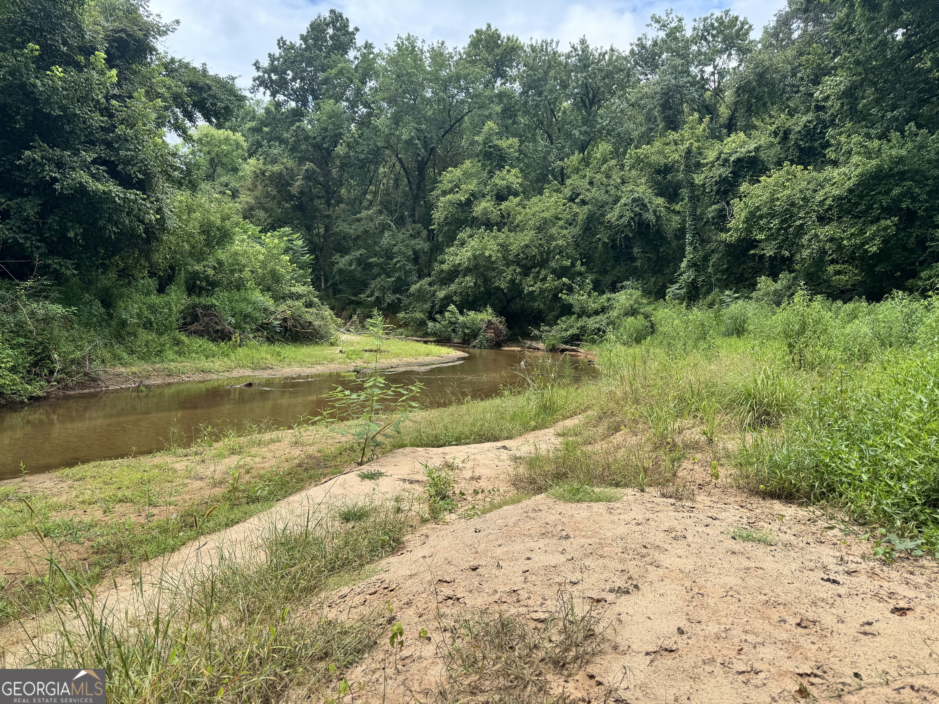 180.14 Ac Johnson Mill Road Hamilton GA 31811
