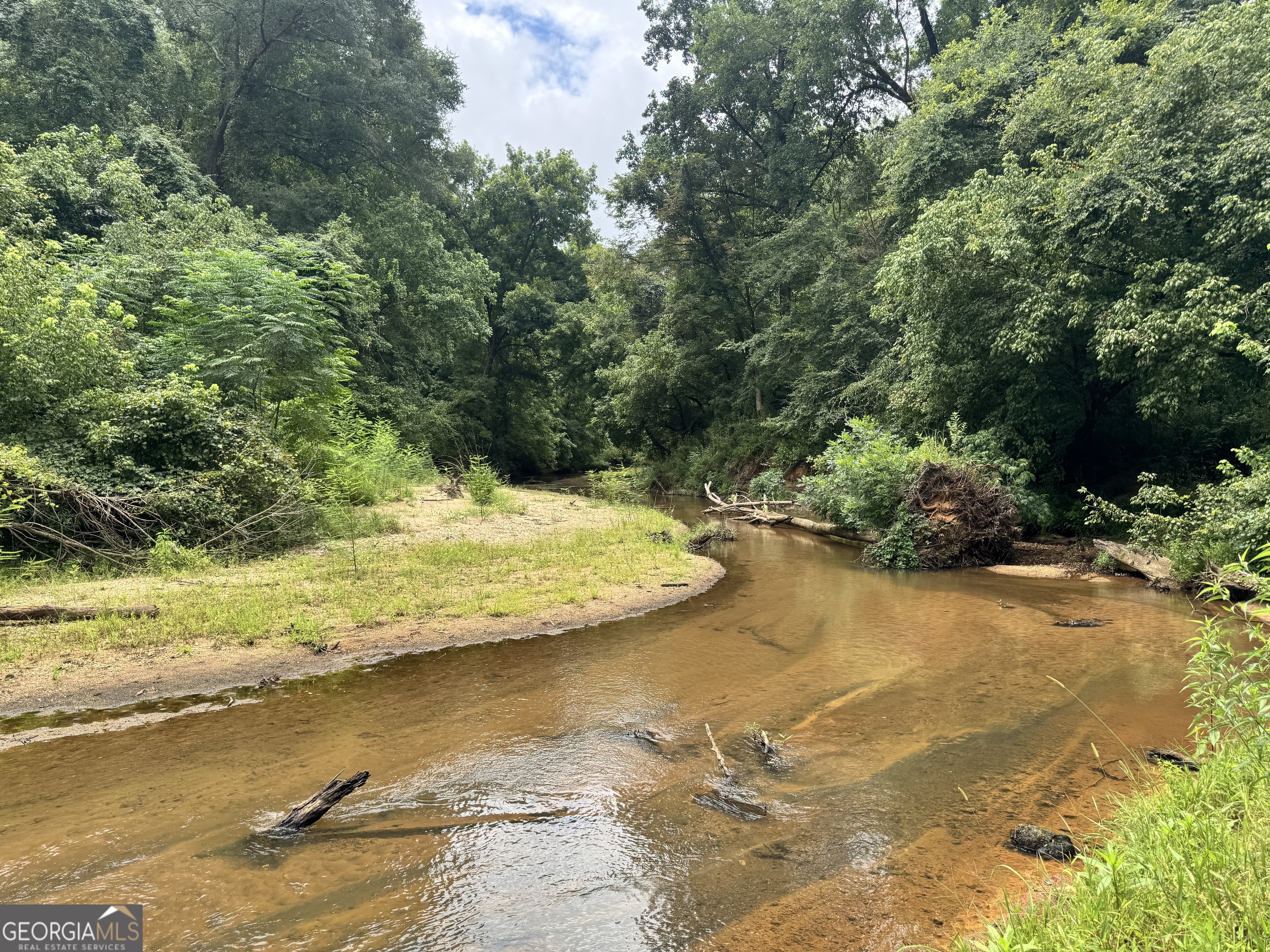 180.14 Ac Johnson Mill Road Hamilton GA 31811