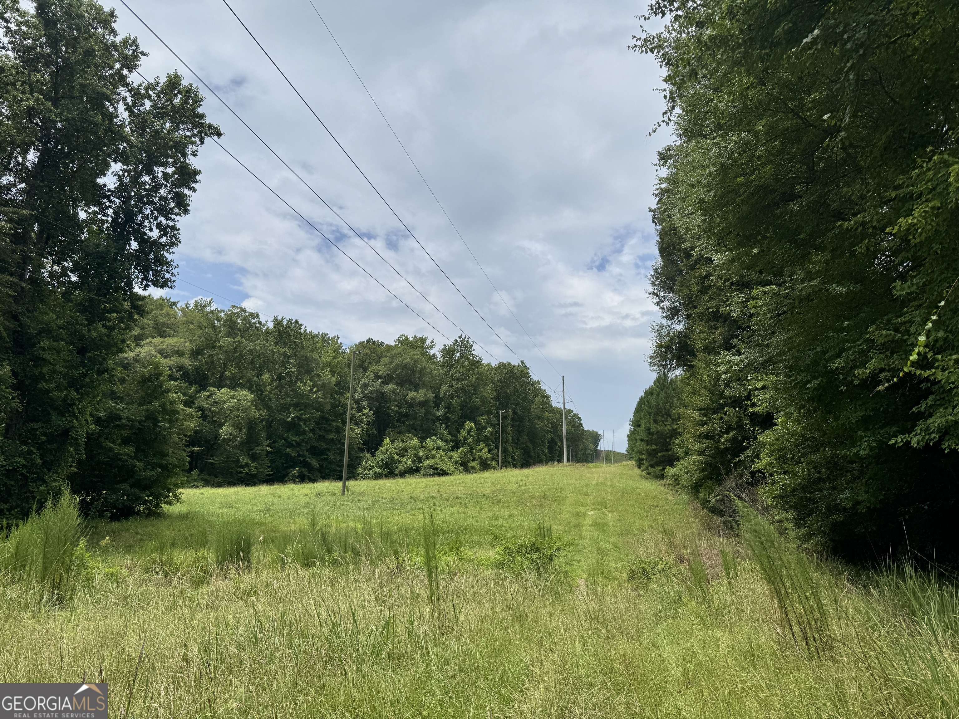 180.14 Ac Johnson Mill Road Hamilton GA 31811