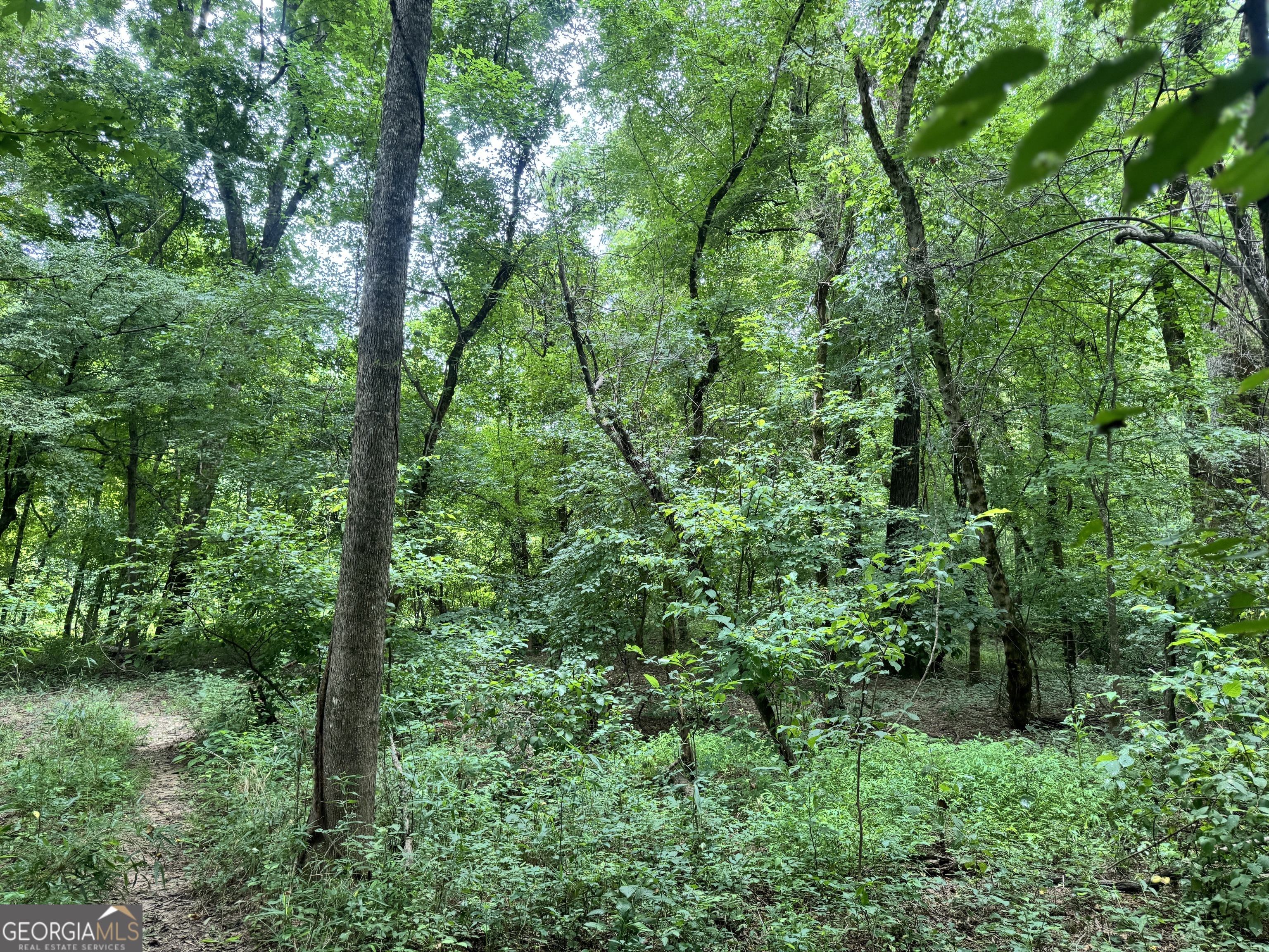 180.14 Ac Johnson Mill Road Hamilton GA 31811