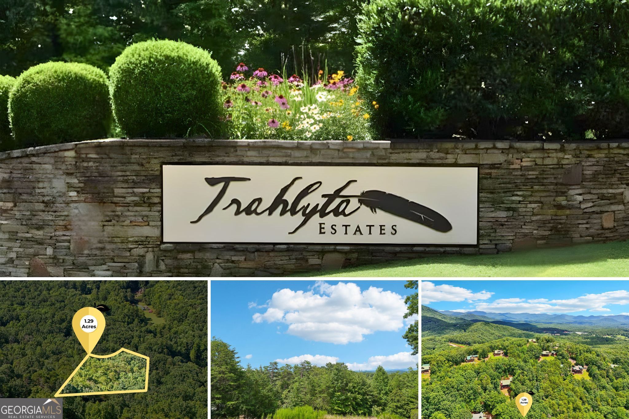 0 Ranch Mountain Court Dahlonega GA 30533