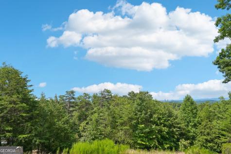 0 Ranch Mountain Court Dahlonega GA 30533