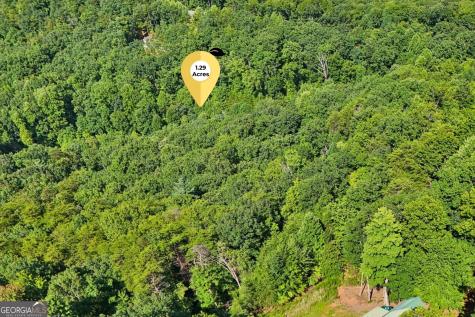 0 Ranch Mountain Court Dahlonega GA 30533